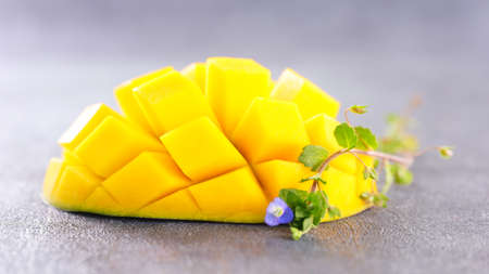 mango fruit