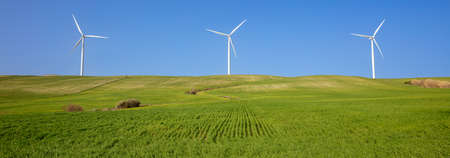 wind turbine in green field- renewable energy
