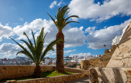 Tanger city, Medina old town, Moroccoの写真素材