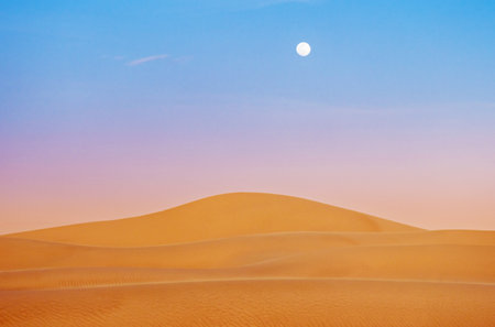 Sahara desert at sunset with moon in Moroccoの写真素材