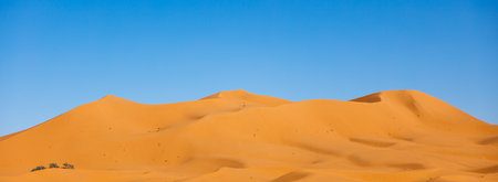 sunset on sand dune in the sahara desert- Merzouga in Morocco