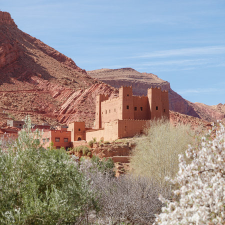 Traditional moroccan village- Tamedakhte village, Kasbah near ait ben haddou, near Ouarzazateの写真素材