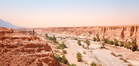 Adventure, travel, excursion in Morocco- Panorama cayon landscape, oasis and palm treeの写真素材