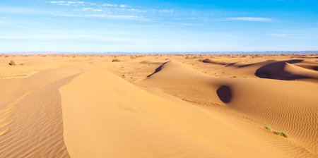 sand dune in the Sahara - Moroccoの写真素材