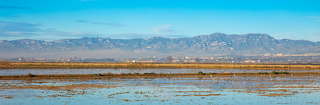 Las salinas, Ebro river delta in Spain