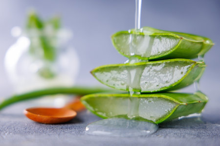 Aloe Vera Slices Dripping with Natural Liquid â Skincare and Health Conceptの写真素材