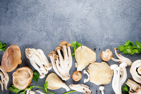 set of edible mushrooms on blue backgroundの写真素材