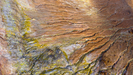 detailed aerial view of mineral texture on rock surface, showing casing erosion pattern, yellow lichen and layered geology with earthy tones in a natural landscapeの写真素材