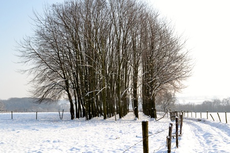 Winterの写真素材