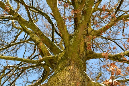 Winterの写真素材