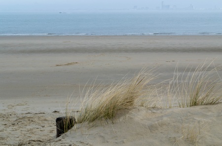 Sea sightの写真素材