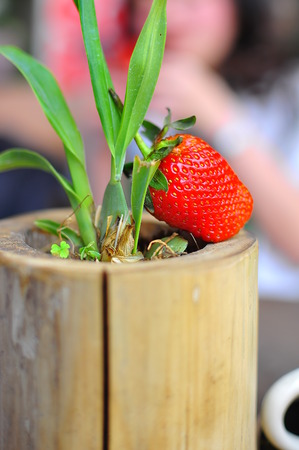 Strawberry on bamboo vase の写真素材
