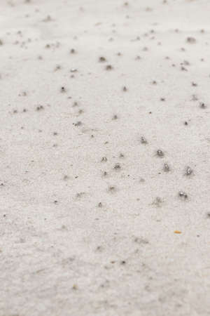 Background with gray sand of the sea.の写真素材