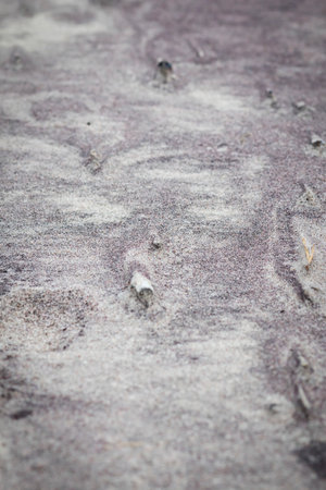 Background with gray sand of the sea.の写真素材