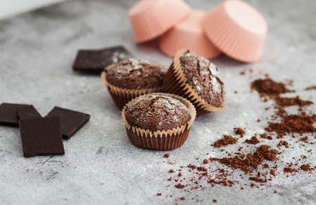 Chocolate muffins with powdered sugar