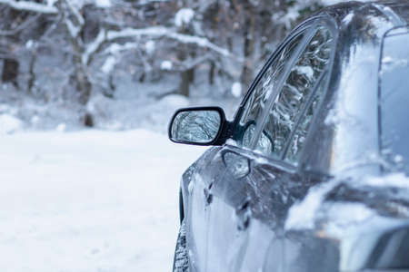 Part of the car in the winter forest. Around the forest and a lot of snow.