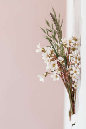 wildflowers on a white wall. where is the renovation goingの写真素材