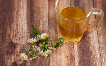 Chamomile tea on wooden background. Next to a cup of chamomileの写真素材