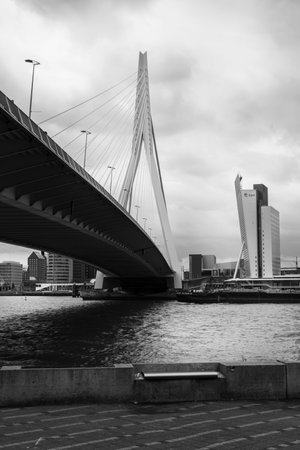 The Erasmus Bridge in Rotterdam in black and whiteの写真素材