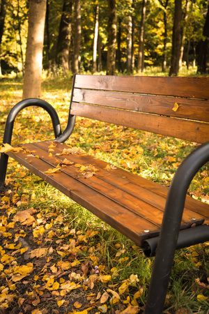Wooden bench in the autumn park with fallen yellow leaves. Selective focus.