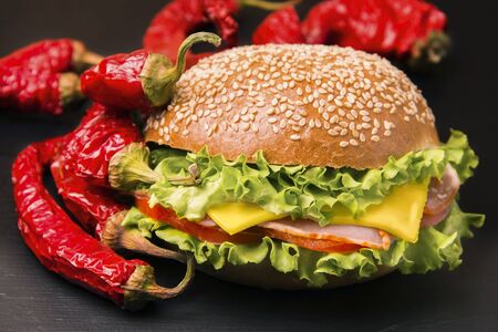 sandwich with bacon, cheese, onions, tomato and herbs next to hot red pepper on a black backgroundの写真素材