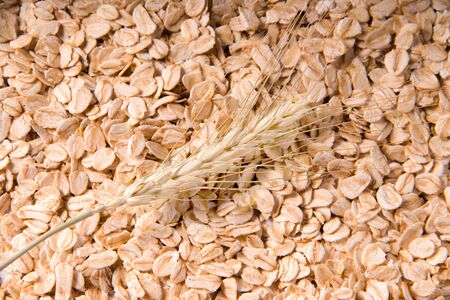 spike of wheat on the background of dry oatmealの写真素材