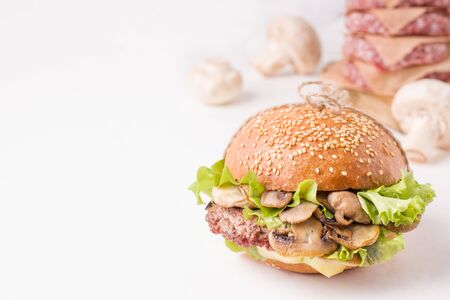 sandwich with meat and mushrooms next to the ingredients on a white background. Close-up. there is a place for textの写真素材