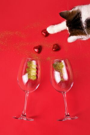 The vertical image on which the cat lays out chocolate candies in the shape of a heart on a red background. Below are glasses with golden glitter. Valentine's day concept with animalの写真素材