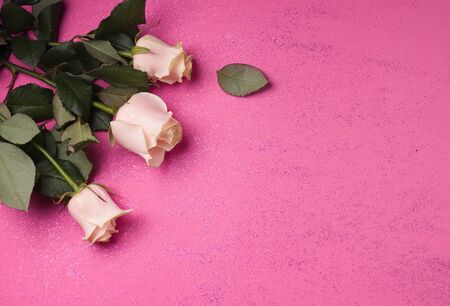 White roses on a pink shiny background with copy space.Holiday concept Valentine's day, Womens day, birthday, wedding.の写真素材