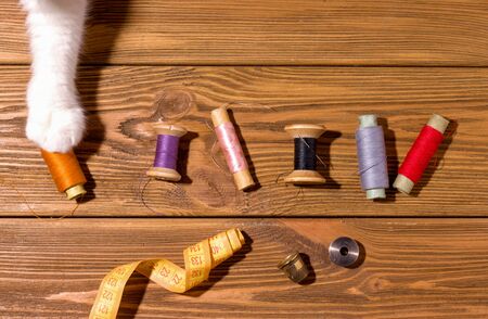 Sewing accessories on a wooden table with which the cat playsの写真素材