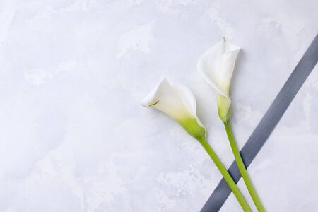 White flowers callas with mourning ribbon on a concrete background. Copy space. The concept of mourning and sorrowの写真素材