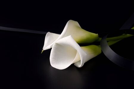 concept of death and sorrow. White Zantedesia flowers with mourning ribbon on a black background. copy space. banner.の写真素材