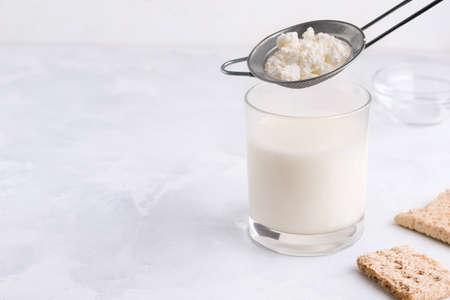 Grains of milk kefir. Fermented drink in a glass on a white background. Copy spaceの写真素材