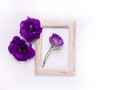Wooden frame with purple flowers on a white wall. Copy spaceの写真素材
