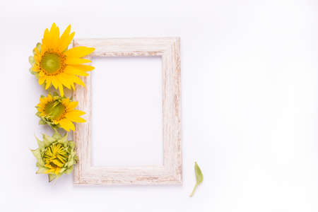 summer mockup wooden photo frame with sunflower flowers on white background.の写真素材