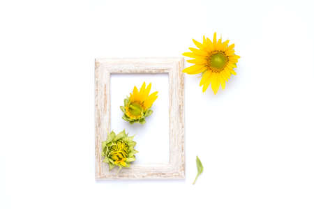Wooden frame with tsatami sunflower on white backgroundの写真素材