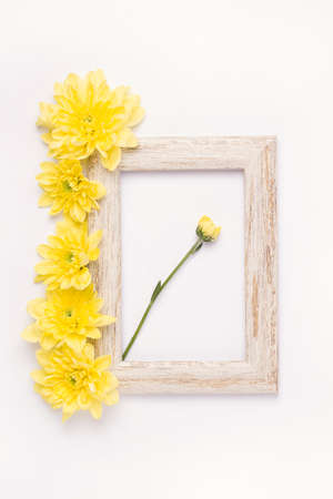 photo frame with aster flowers on white backgroundの写真素材