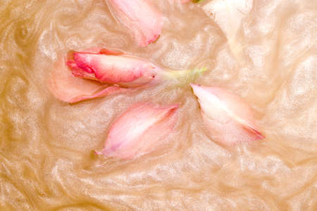 Wallpaper with flower buds in shiny water with shimmerの写真素材