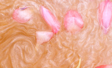 Texture background shimmer peach color with flowersの写真素材