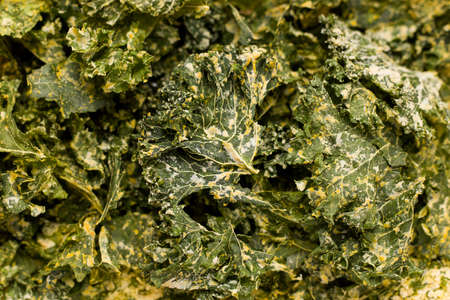 Kale chips texture close up