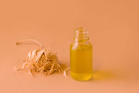 Natural cosmetic oil in a glass bottle. copy spaceの写真素材