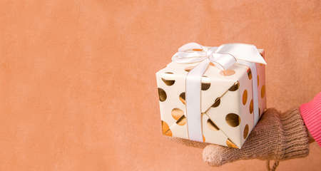 Christmas winter gift concept. Hands in warm gloves hold a giftの写真素材