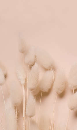 Dry flowers on a beige background. copy space. Vertical photo