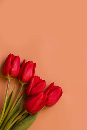 Bouquet of flowers. Red tulips on a brown background. Copy spaceの写真素材