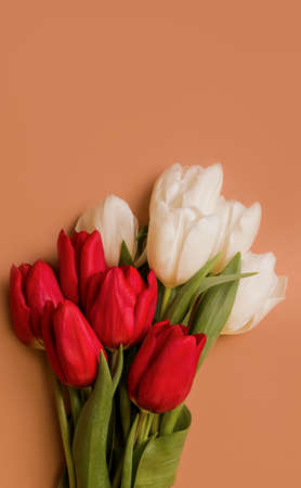 bouquet of red and white tulips on a brown background. copy spaceの写真素材