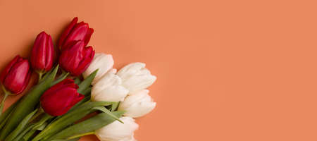 Bouquet of tulip flowers on brown background copy space. Banner. View from aboveの写真素材