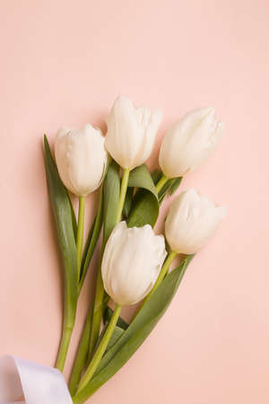 Bouquet of white tulips flowers on a pale pink backgroundの写真素材