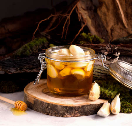 Fermented honey in a jar on the background of organics, nature treeの写真素材