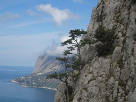 Beautiful summer mountain landscapeの写真素材