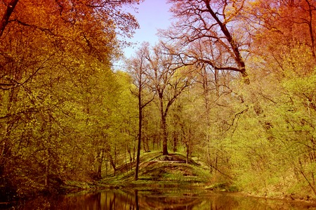 blue water lake in the spring park, on the banks of trees and reflected in the calm water, filterの写真素材